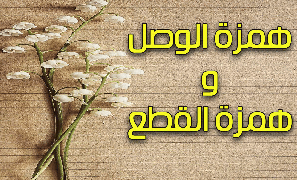 همزة الوصل في الأفعال الدرس Pdf بالأمثلة