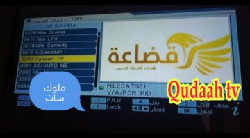 تردد قناة قضاعة