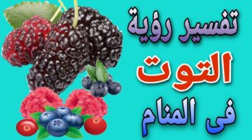 تفسير حلم التوت للعزباء