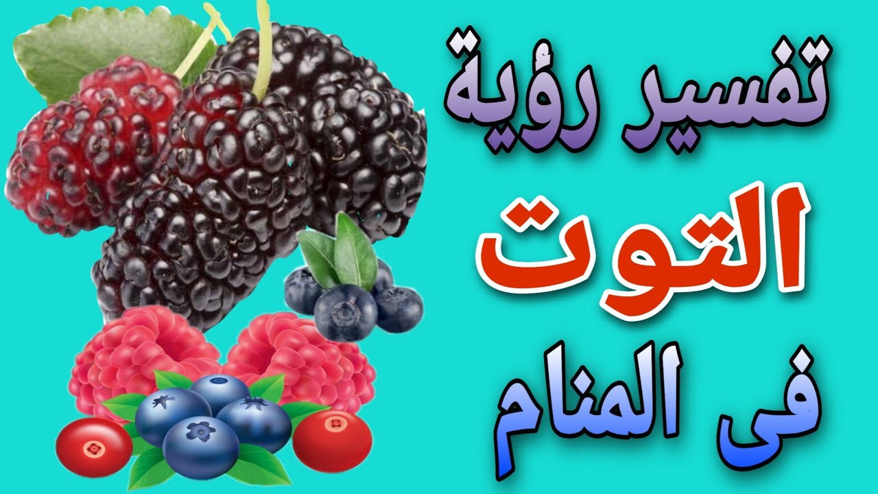 ما هو تفسير حلم التوت للعزباء لابن سيرين