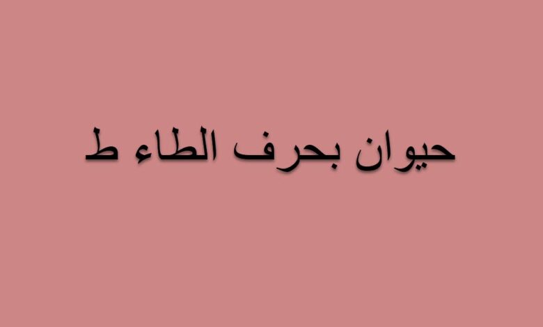 جماد بحرف الطاء ” ط” وأبرز المعلومات عنه