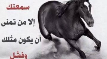 حالات واتس اب كتابة. اجمل ما قيل في حالات الواتس اب؟