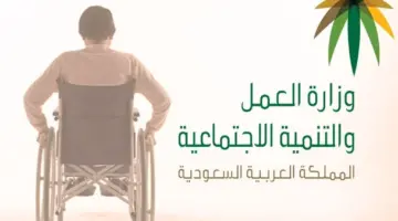 حلول البطالة التاهيل الشامل. حقيقة زيادة رواتب التأهيل الشامل