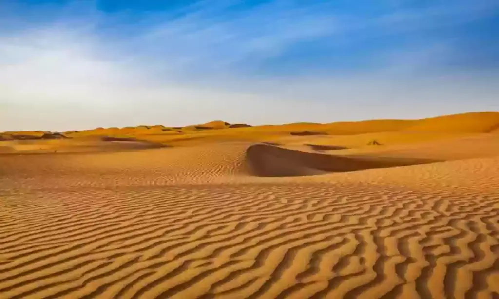 شجرة قبيلة ال مطلق يام