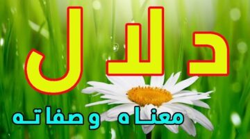 صفات حاملة اسم دلال