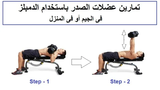 صور تمرين بنش كامل بالصور 2025 أجمل التمرينات للبنش