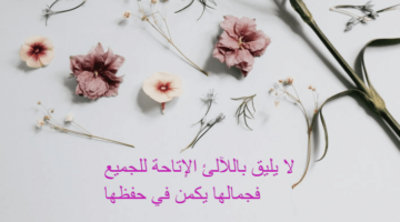 عبارات جميلة عن الحجاب