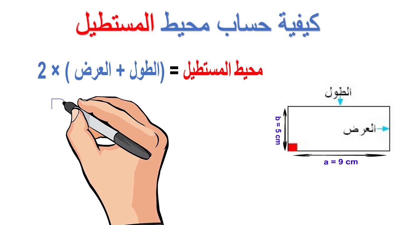 قانون مساحة المستطيل بالرموز مع ذكر مثال