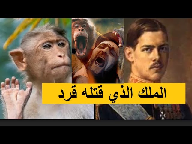 قصص واقعية حقيقية مؤثرة جدا للكبار.. من اغرب القصص في العالم؟