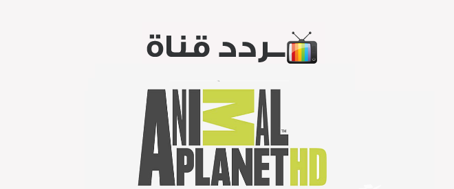 تردد قناة كوكب الحيوانات 2025 الجديد وخطوات تثبيت Animal Planet