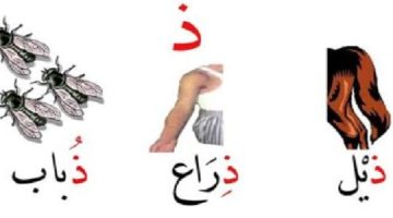 كلمات تبدأ بحرف الذال