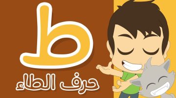 كلمات تبدأ بحرف الطاء