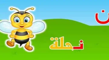 كلمات تبدأ بحرف النون