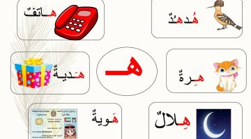 كلمات تبدأ بحرف الهاء