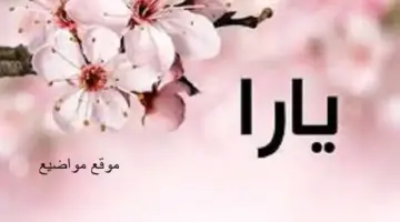 ما معنى اسم يارا في جميع اللغات