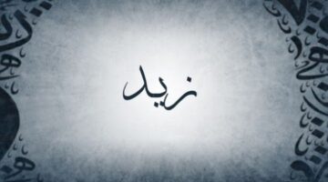 معنى اسم زيد 1