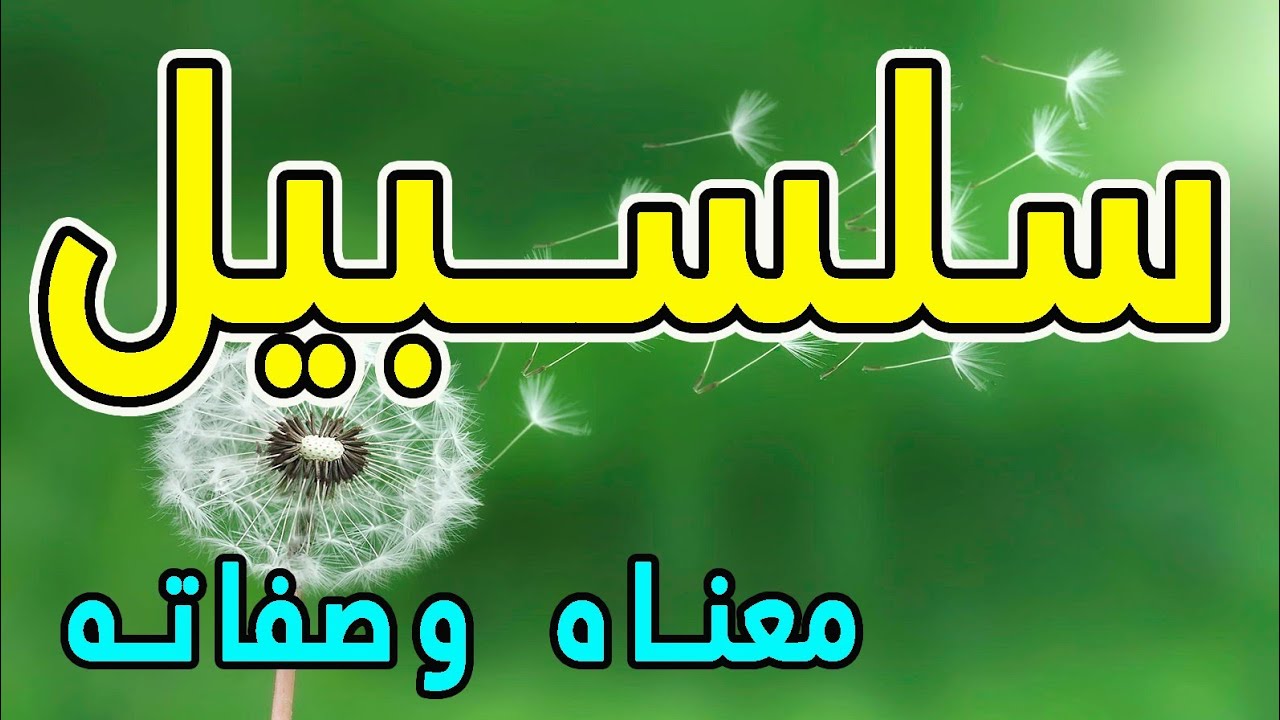 ما معنى اسم سلسبيل في القرآن الكريم؟ واللغة العربية؟