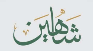 معنى اسم شاهين