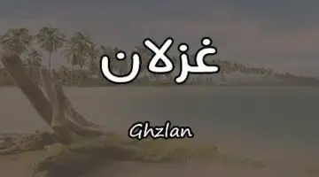 معنى اسم غزلان E1722420232473