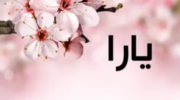 معنى اسم يارا