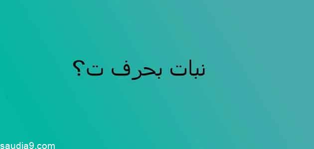 نبات بحرف التاء “ت” فواكه تبدأ بحرف التاء