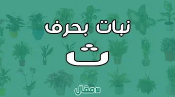 نبات بحرف الثاء