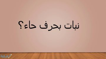 نبات بحرف الحاء 1