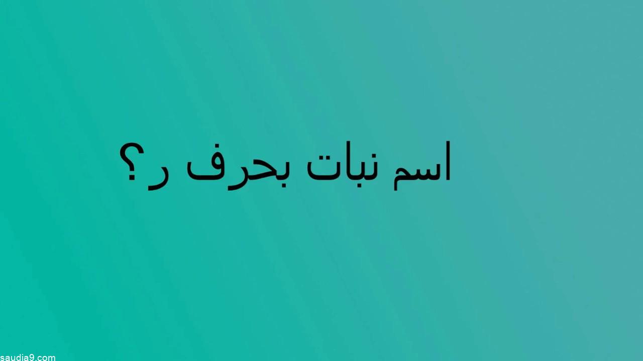 نبات بحرف الراء “ر” فواكه تبدأ بحرف الراء