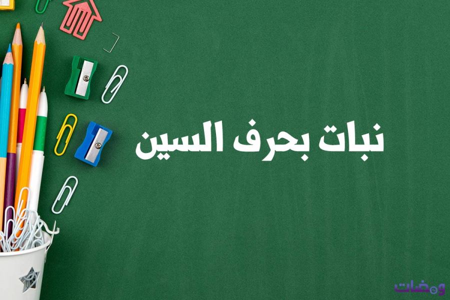 نبات بحرف السين “س” فواكه تبدأ بحرف السين