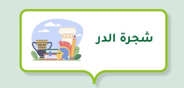 إنجازات شجرة الدر.. من صفات شجرة الدر؟