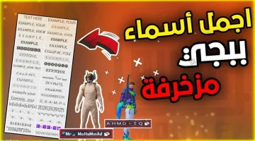 اسماء ببجي فخمة للبنات