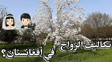 الزواج في أفغانستان 0