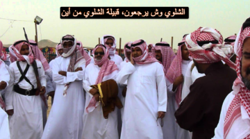 الشلوي وش يرجع