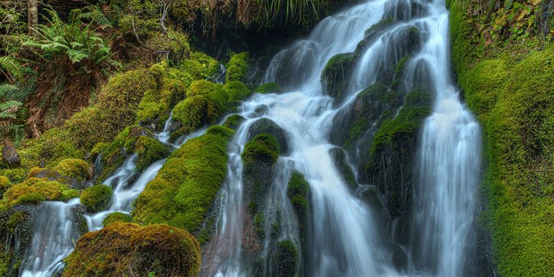 بيئة طبيعية انواع.. ما هي أنواع البيئة؟