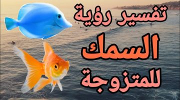 تفسير السمك في الحلم للمتزوجه