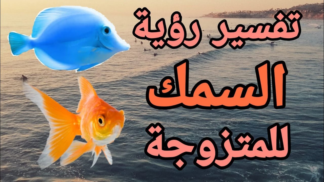 تفسير السمك في الحلم للمتزوجه