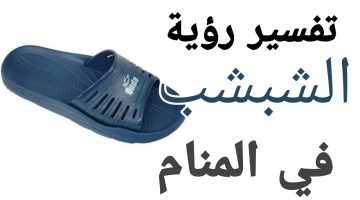 تفسير حلم شبشب2