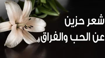 شعر قصير حزين