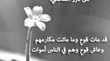 شعر قصير عن الحياة