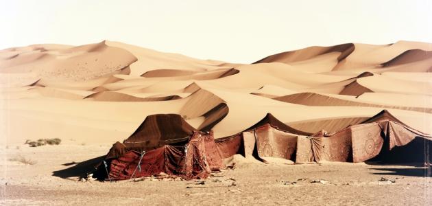 صفات بيت البادية.. ما هي الأشياء الموجودة في البادية؟