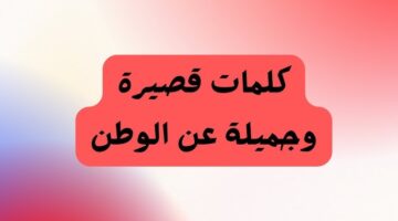 عبارات عن الوطن قصيرة