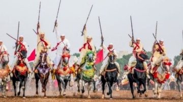 فن الفروسية في المغرب