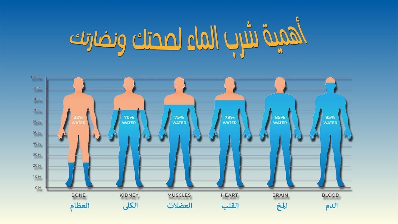 فوائد الماء في حياتنا في جسم الإنسان