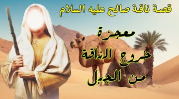 قصة سيدنا صالح