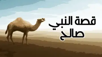 قصة صالح عليه السلام