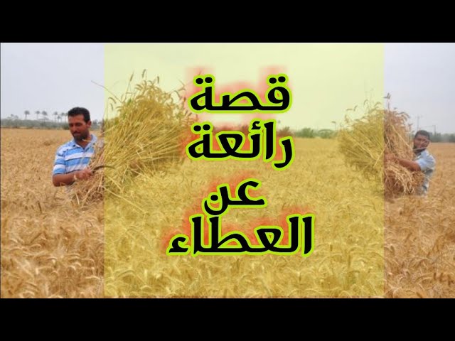 أبرز 10 قصص عن العطاء في الإسلام