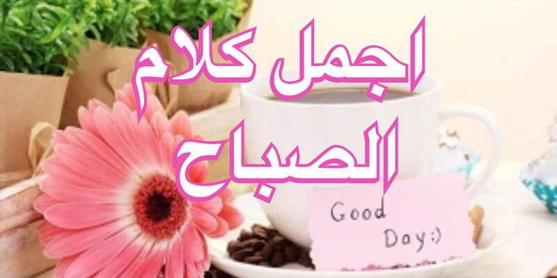 كلام الصباح الجميل.. 50 عبارة مميزة في الصباح