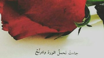 كلمات عن الورود الجميلة