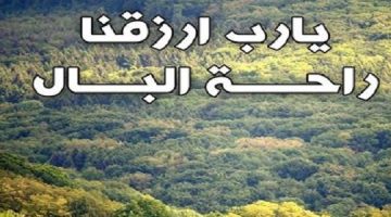 كلمات عن راحة البال