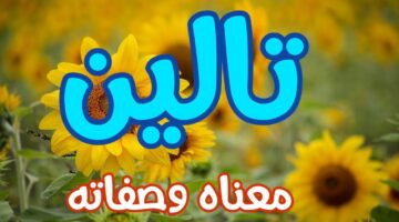 معنى اسم تالين2